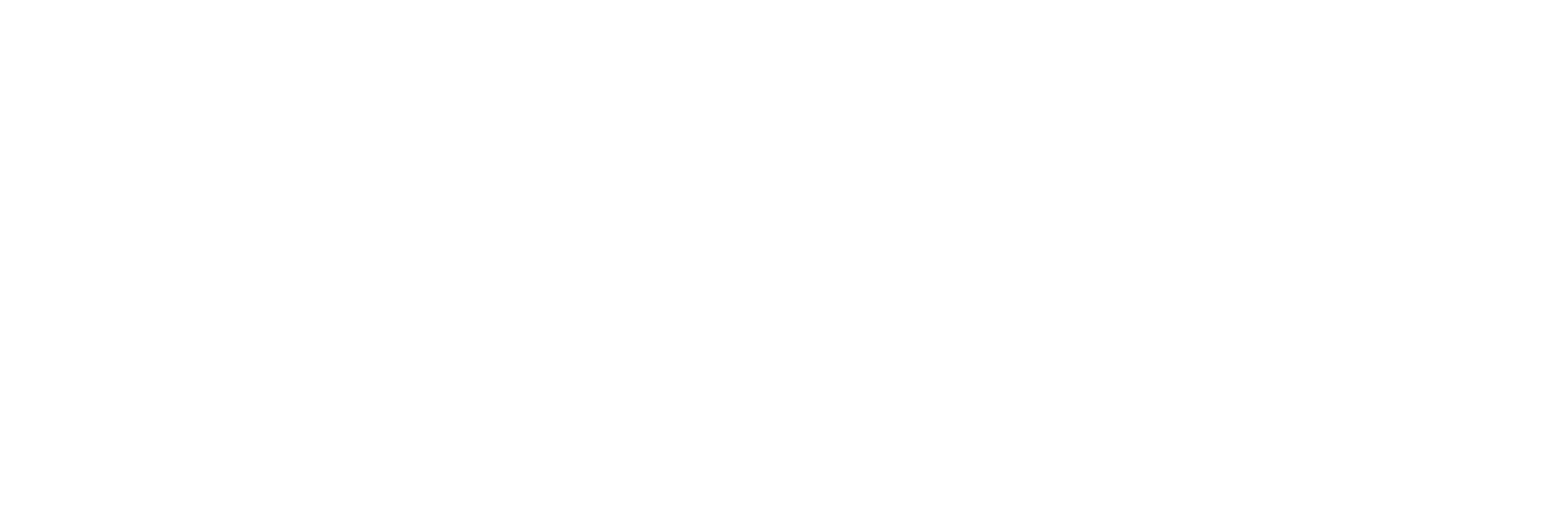 Black Forest Labs Logo